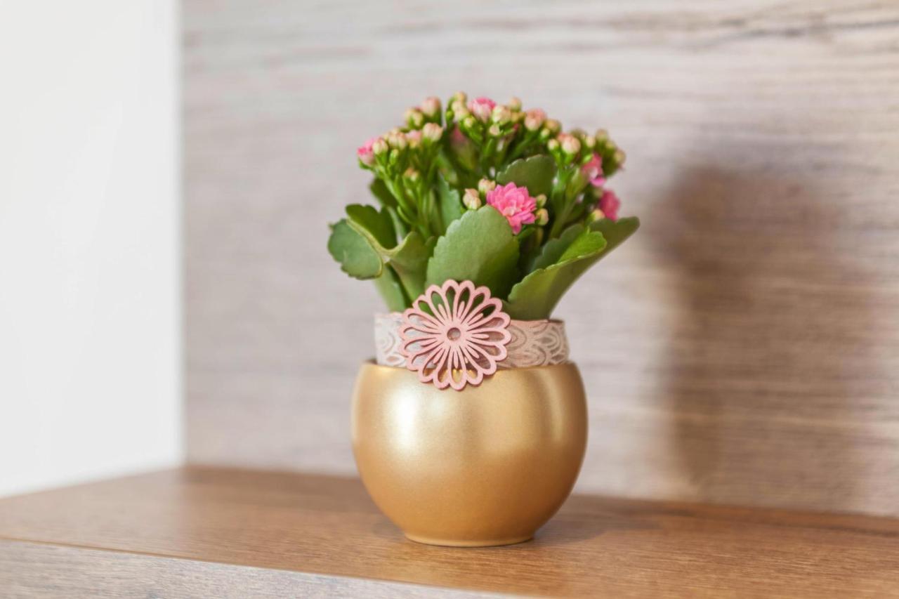 City Apartment Flora Мерано Экстерьер фото